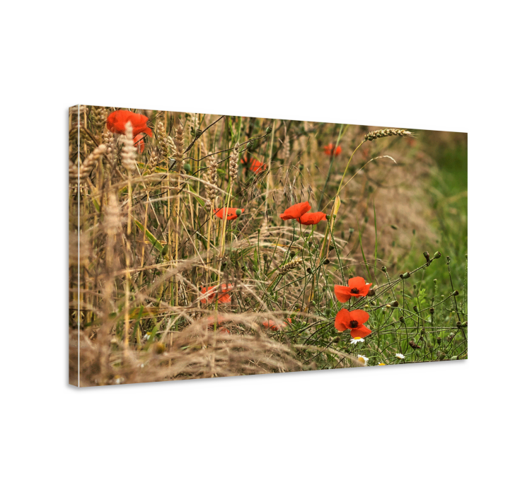 Tableau fleurs et plantes champ de coquelicots vibrant - TenStickers