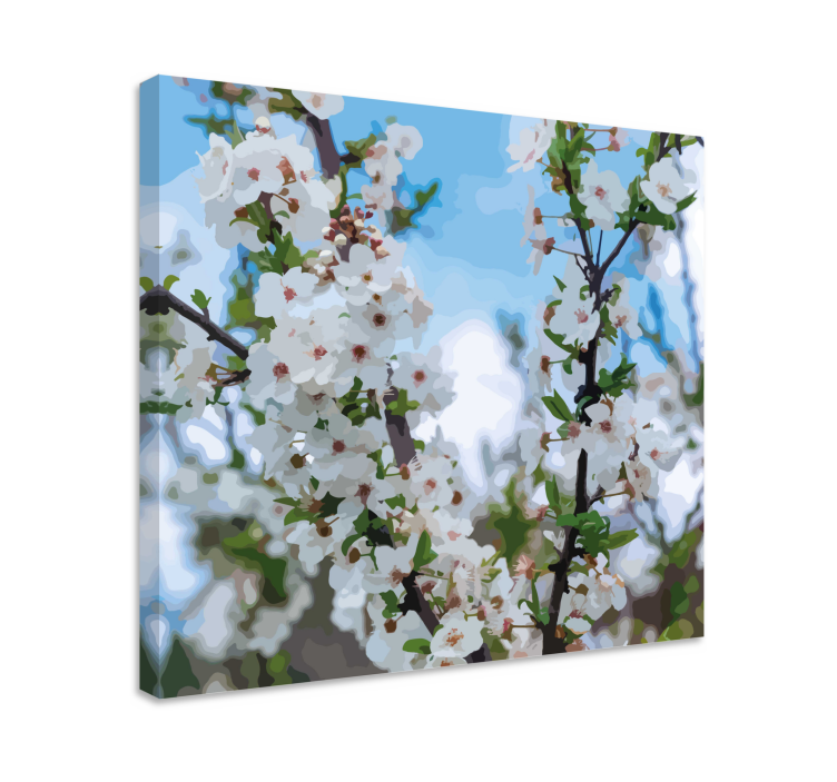 Tableau fleurs Cerisier blanc en fleurs - TenStickers