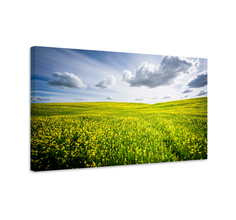 Tableau paysage Champ de fleurs jaunes - TenStickers