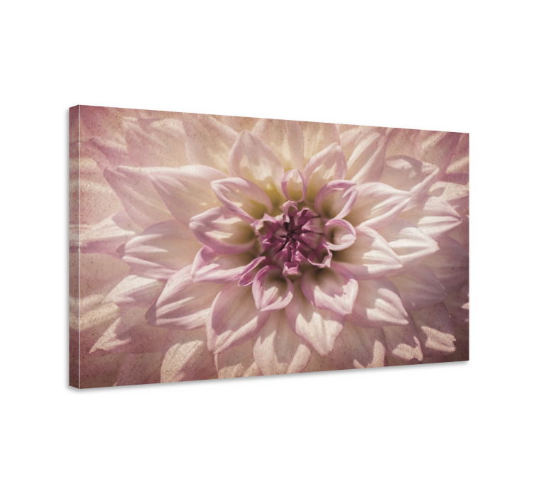 Tableau fleurs Dahlia rose - TenStickers