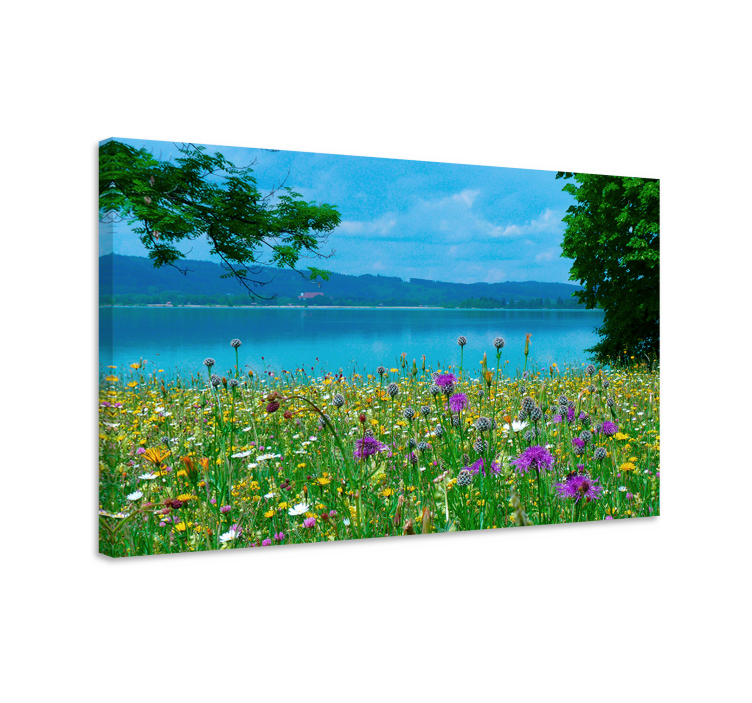 Tableau fleurs et plantes vue de prairie en fleurs - TenStickers