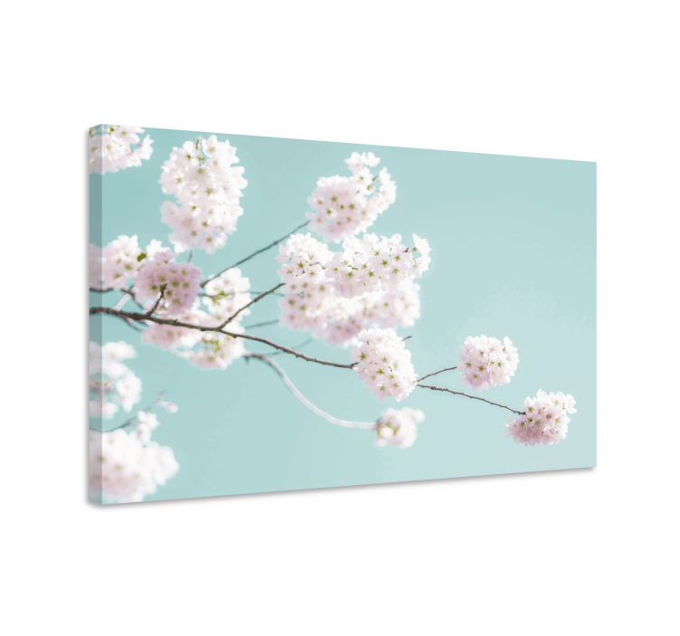 Tableau fleurs Fleur blanche élégante et féminine - TenStickers