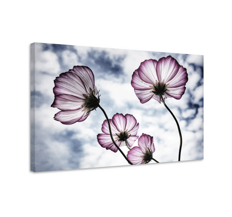 Tableau fleurs Design élégant de fleur de cosmos violet - TenStickers