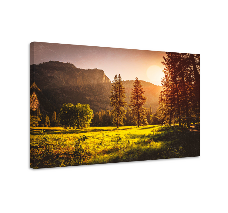 Tableau paysage Coucher de soleil derrière les arbres - TenStickers
