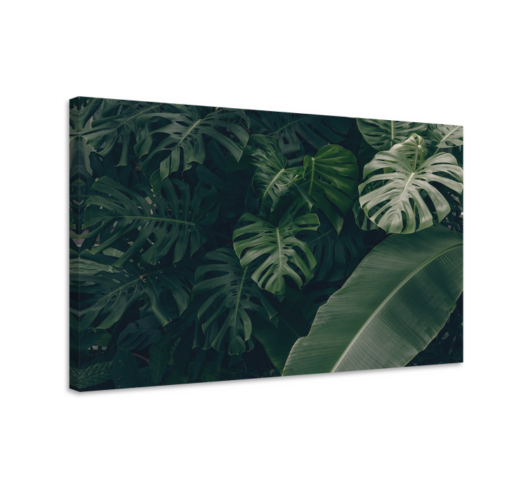 Tableau paysage Belle forêt de jungle verte - TenStickers