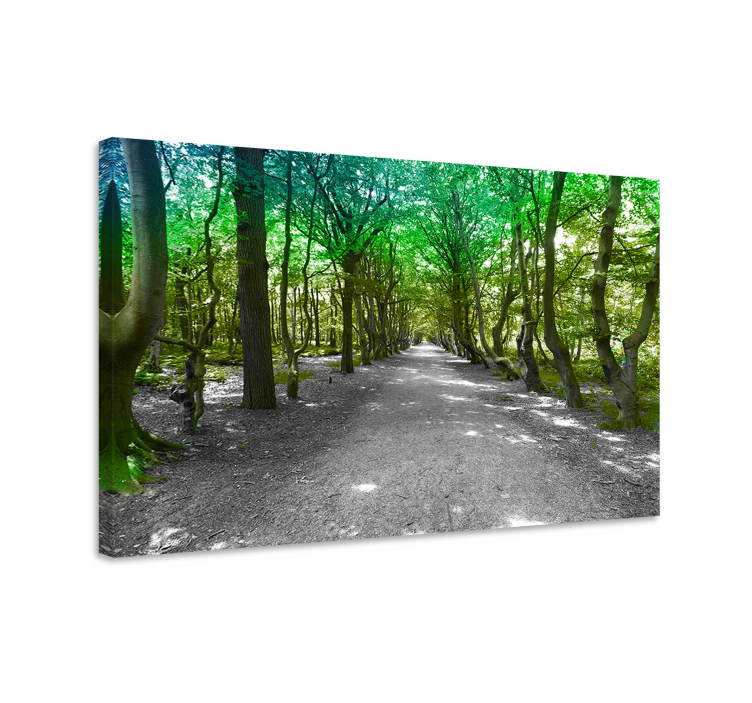 Tableau arbres chemin forestier verdoyant - TenStickers