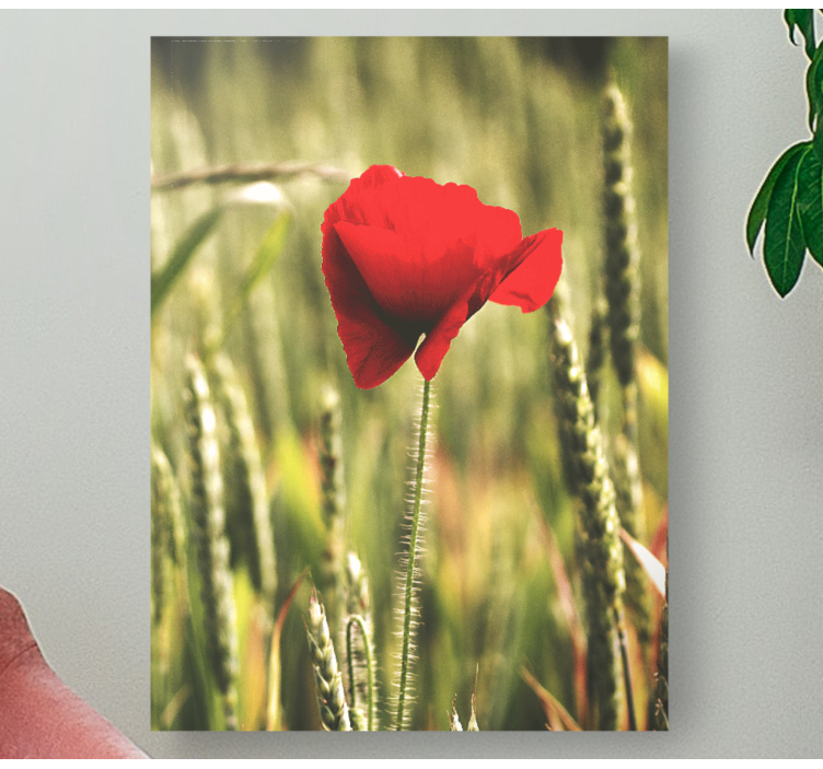 Tableau fleurs Pavot simple avec du blé - TenStickers