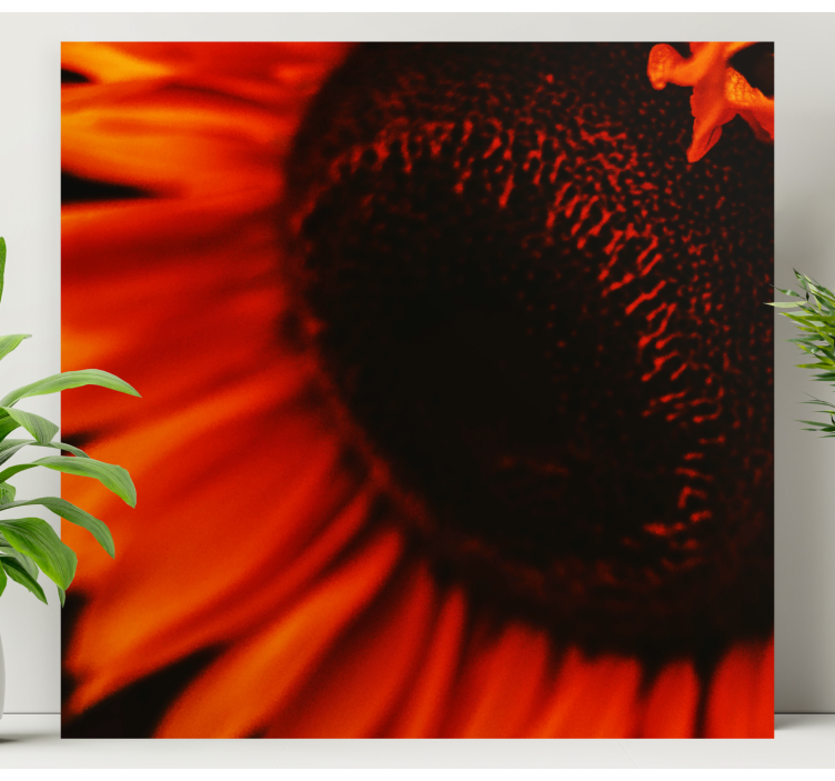 Tableau fleurs Tournesol orange - TenStickers