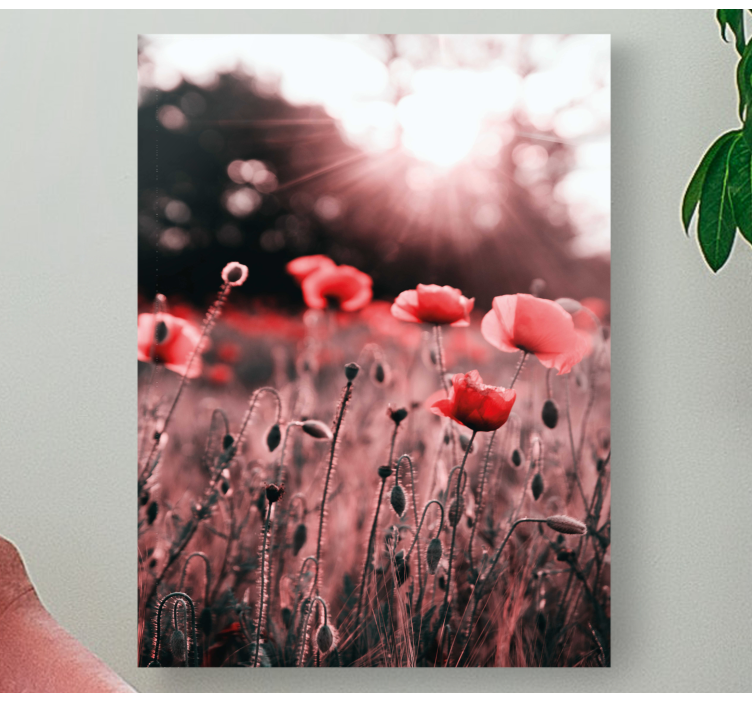 Tableau fleurs Vague champ de coquelicots - TenStickers
