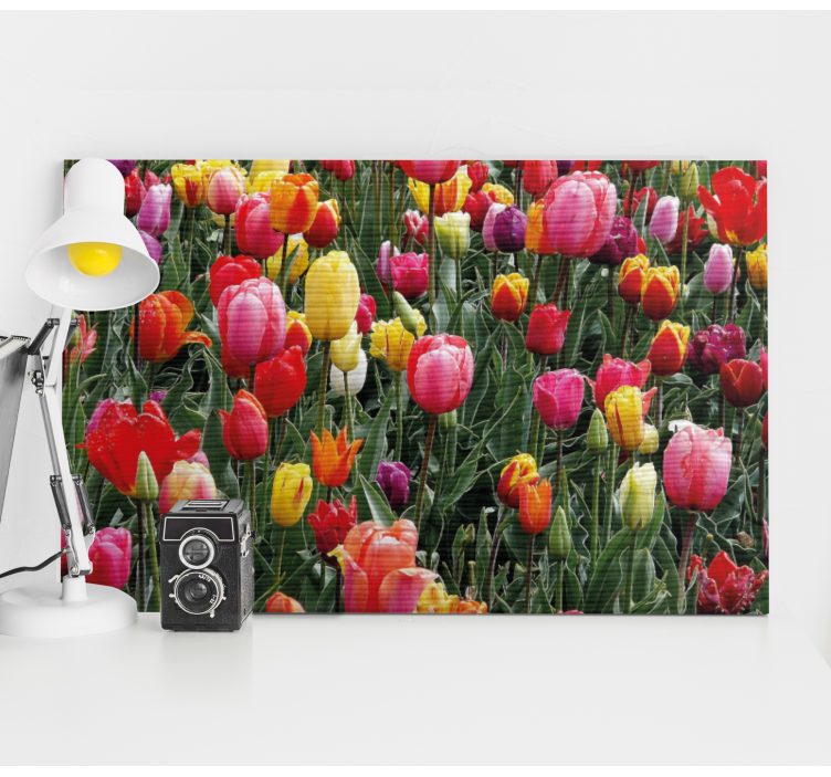 Tableau fleurs et plantes tulipes colorées - TenStickers