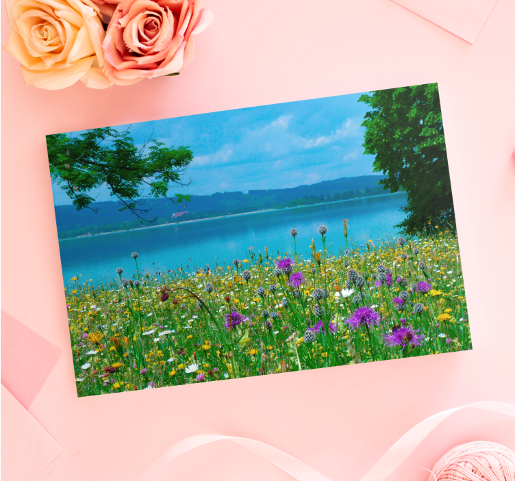 Tableau fleurs et plantes vue de prairie en fleurs - TenStickers