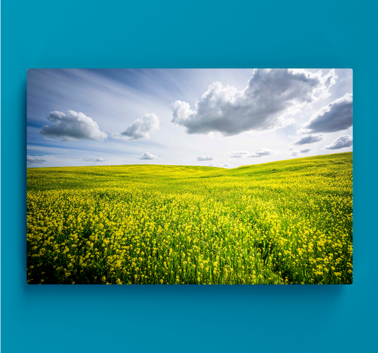 Tableau paysage Champ de fleurs jaunes - TenStickers