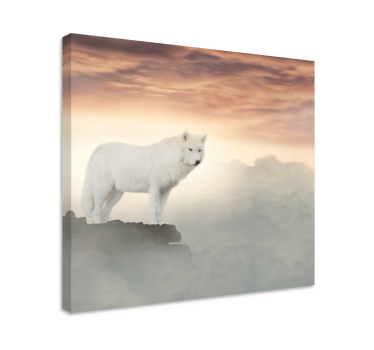Tableau animaux Loup blanc sur la montagne - TenStickers