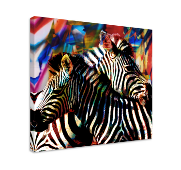 Tableau animaux Quelques semaines multicolores - TenStickers