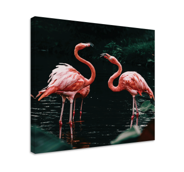Tableau animaux Couple de flamants roses - TenStickers
