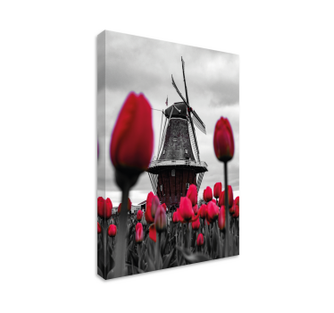 Tableau fleurs Champ de tulipes avec moulin à vent - TenStickers