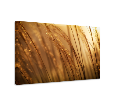 Tableau végétal Pampas aux couleurs chaudes - TenStickers