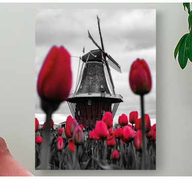 Tableau fleurs Champ de tulipes avec moulin à vent - TenStickers