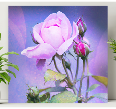 Tableau fleurs Roses de jardin roses - TenStickers