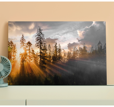 Tableau paysage Forêt avec brouillard et soleil - TenStickers