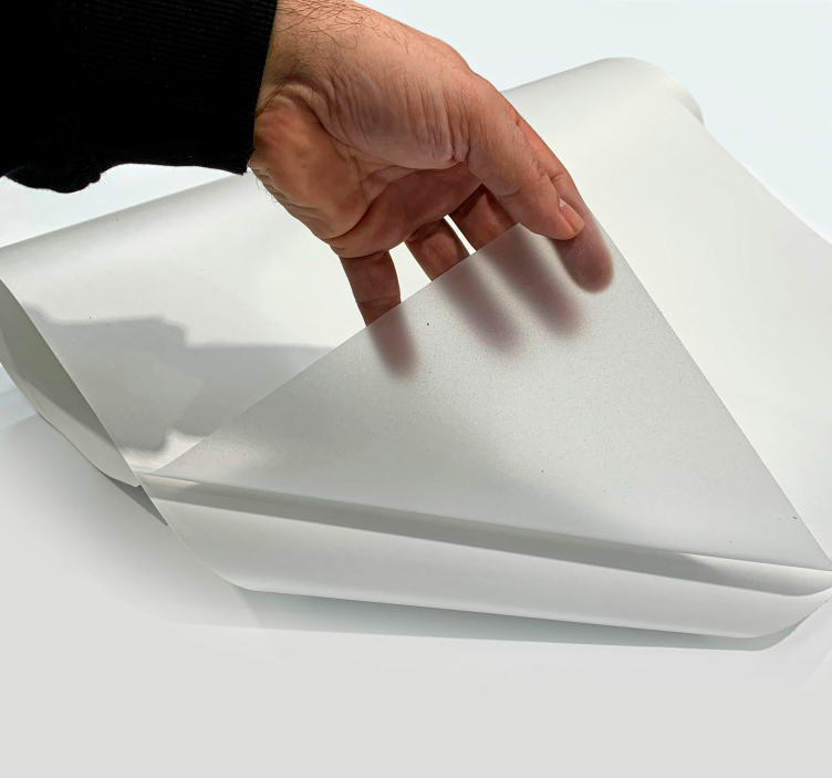 Sticker pour vitre translucide  - TenStickers