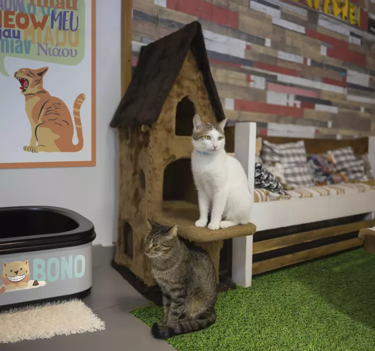 Sticker prénom chat pour boîte de litière  - TenStickers