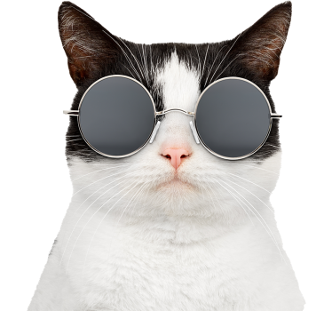 Sticker voiture chat avec des lunettes de soleil - TenStickers