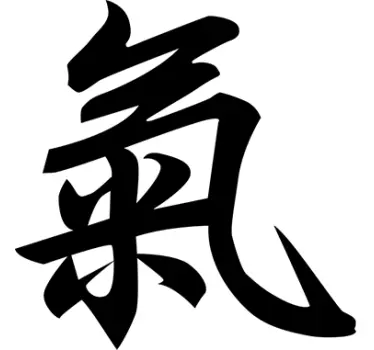 Stiker texte force en lettres chinoises - TenStickers
