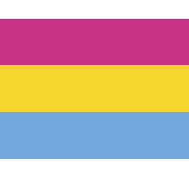 Sticker voiture drapeau pansexuel - TenStickers