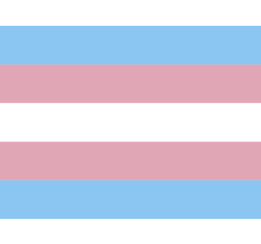 Sticker voiture drapeau trans - TenStickers