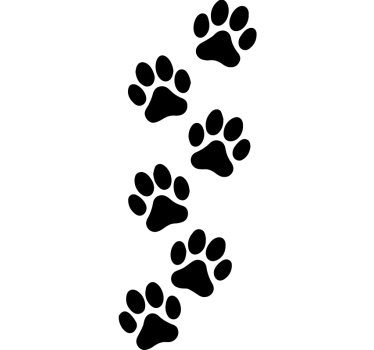 Sticker voiture ensemble de pattes monochromes - TenStickers