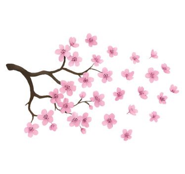 Sticker voiture décalque fleurs de cerisier rose - TenStickers