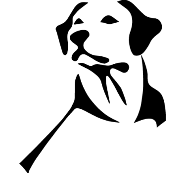 Sticker pour voiture labrador - TenStickers