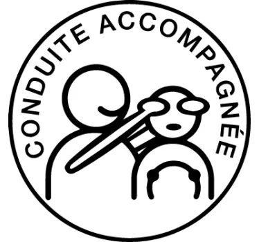 Autocollant voiture conduite accompagnée drôle - TenStickers