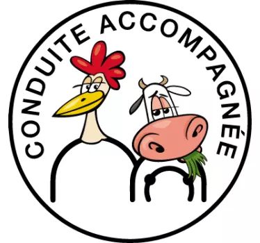 Sticker voiture conduite accompagnée drôle - TenStickers