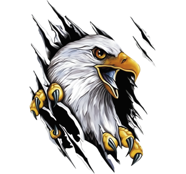 Sticker voiture griffe d'aigle pêcheur américain - TenStickers