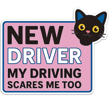 Sticker voiture conducteur nouveau drôle et mignon - TenStickers