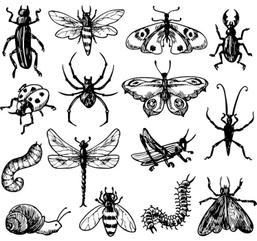 Sticker Mural Insectes - TenStickers