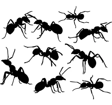 Sticker Mural Dessin Fourmis - TenStickers