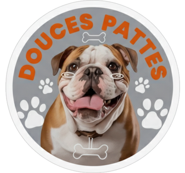 Sticker voiture douces pattes bulldog anglais - TenStickers