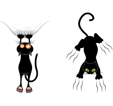 Sticker voiture chats noirs qui grattent - TenStickers