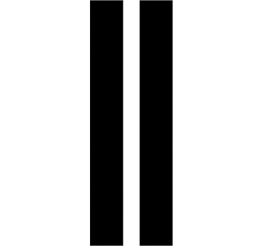 Sticker voiture bande double monochrome simple - TenStickers