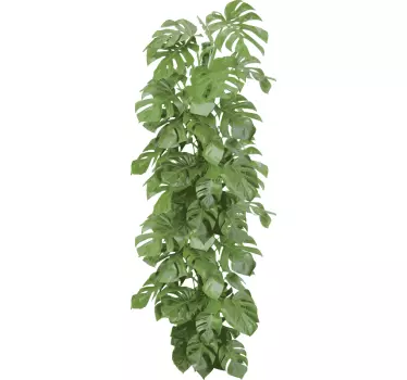Sticker porte branches vertes - TenStickers