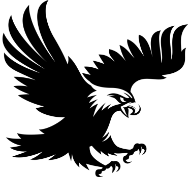 Sticker voiture dessin aigle - TenStickers