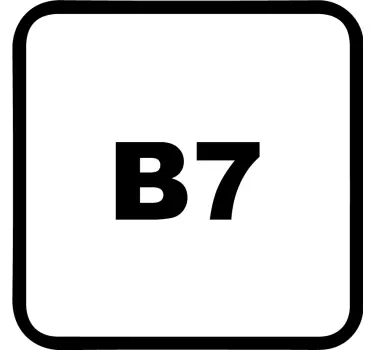 Autocollant Voiture Diesel b7 - TenStickers