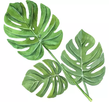 Sticker mural plante Grandes feuilles vertes - TenStickers