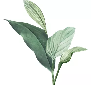 Sticker Plante Verte Feuilles tropicales dessinées vertes - TenStickers