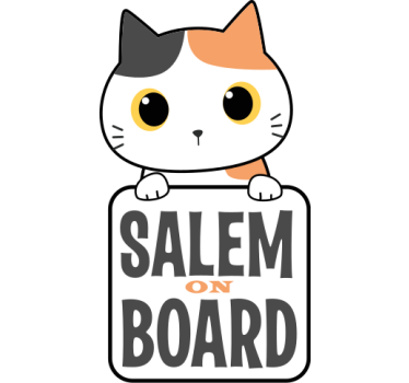 Sticker voiture panneau chat mignon - TenStickers