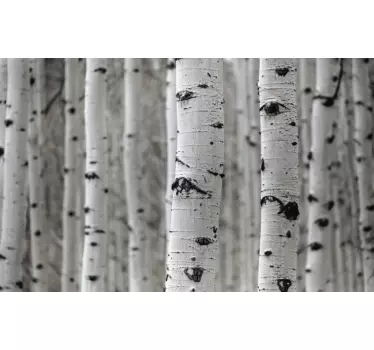 Sticker Frise Murale Forêt de bouleaux blancs - TenStickers