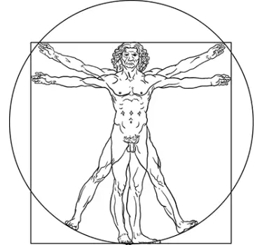 Sticker mural l'Homme de Vitruve - TenStickers